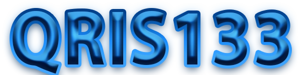QRIS133 Logo